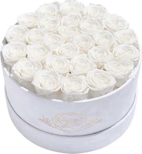 Miniatura 21 de Prifroti 17 flores en una caja de gamuza de lujo, regalos de cumpleaños para mujeres, flores preservadas, regalo de rosas para el día de la madre
