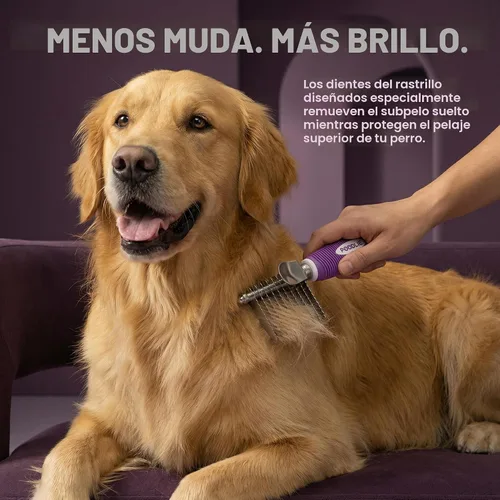 Miniatura 4 de Poodle - Peine Rastrillo Desenredante para Perros y Gatos - Cuchillas Largas de Acero de Seguridad de 2.5" Peine de Metal para Desenredar Pelo
