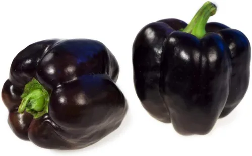 Miniatura 2 de Semillas Pimiento Negro Más de 25 Semillas