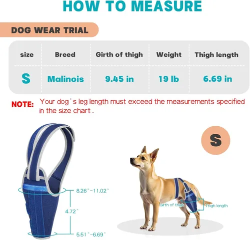 Miniatura 4 de Rodillera para perro para pierna trasera desgarrada del ligamento cruzado anterior, soporte ajustable para pierna trasera con 2 estabilizadores, Azul