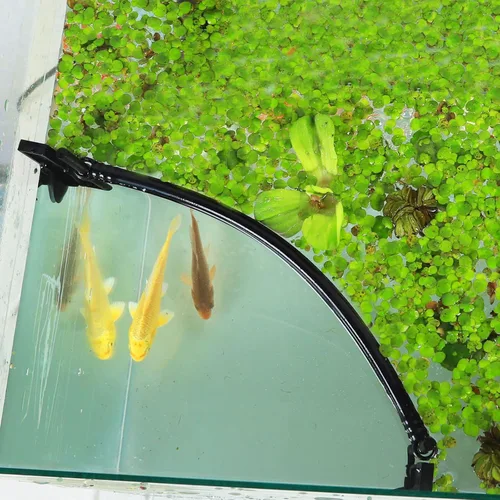 Miniatura 3 de HOZOE Jaula Flotante para Plantas de Acuario, Plantas Flotantes que Impiden el Paso de Filtros y Calentadores, Altura Ajustable con Nivel de Agua