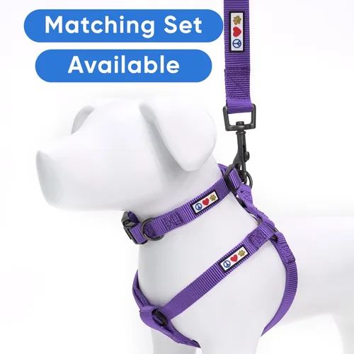 Miniatura 5 de Collar para mascotas Pawtitas, de 6 pies, de nailon, suave, ajustable, color sólido. El collar y arnés a juego para perros y cachorros se venden por