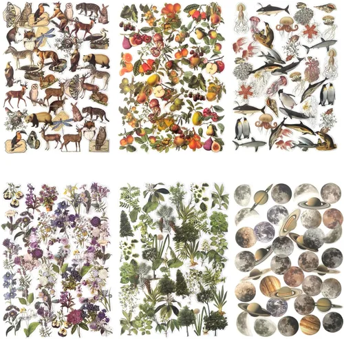 Maxleaf Juego de 240 calcomanías impermeables de flores, hojas, animales, plantas, naturaleza, para planificadores, álbumes de recortes,