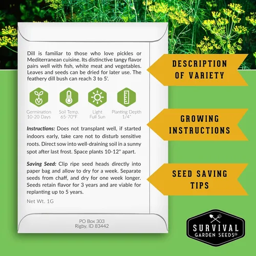 Miniatura 2 de Semillas de eneldo para plantar, 1 paquete con instrucciones para plantar y cultivar hierbas populares en decapado en tu jardín de verduras