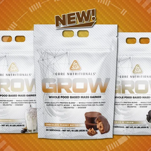 Core Nutritionals Ganador de masa a base de alimentos integrales, 1.76 oz de proteína, 880 calorías, 10 libras (batido de vainilla)
