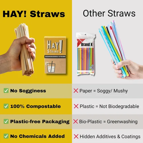 Miniatura 6 de HAY! Straws Pajitas jumbo con tallo de caña Martini de 6 pulgadas 1500 unidades Ancho 6.5-8.5 de diámetro 100% a base de plantas