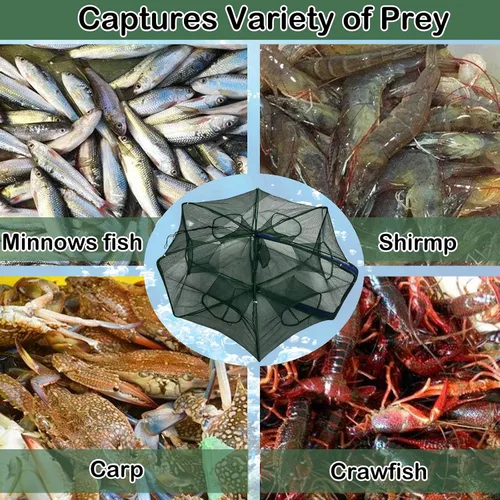 Miniatura 6 de Red de Pesca Plegable para Carnada y Pececillos - Red de Pesca Duradera para Pececillos, Cangrejos, Cangrejos de Río y Camarones - Diseñada