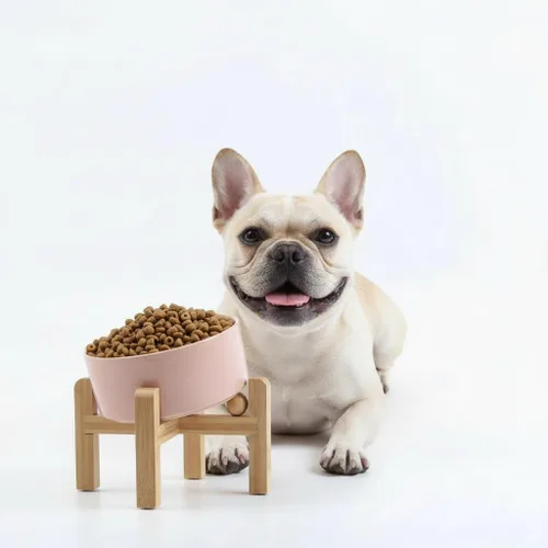 Miniatura 16 de Petygooing Cuenco Elevado/Alzado de Cerámica Inclinado 15° para Perros de Razas Pequeñas y Medianas, Cuenco Inclinado Antideslizante para Verde óxido