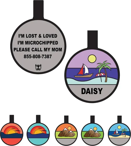 Miniatura 5 de Placa de Identificación Silenciosa para Perro Personalizada con 5 Líneas de Grabado Profundo Personalizado Etiqueta de Identificación con Nombre