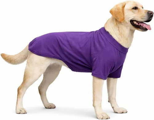 Miniatura 106 de Lovelonglong 2019 - Ropa para mascotas, Disfraces para Perro, Ropa Camisetas en blanco para Perros Grande Medianos Pequeños 100% Algodón 18