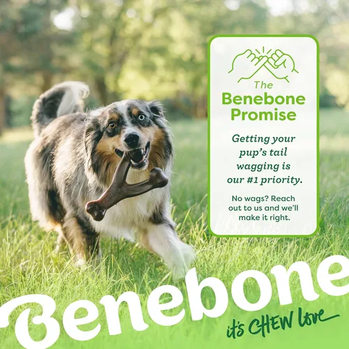 Miniatura 6 de Benebone Wishbone - Juguete masticable duradero para perros masticadores agresivos, tocino real, fabricado en Estados Unidos, mediano