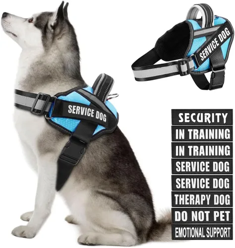 Miniatura 34 de Juego de arnés y parches para chaleco de perro, arnés para perro de servicio en entrenamiento Animire con 10 parches para perros, chaleco Rosa