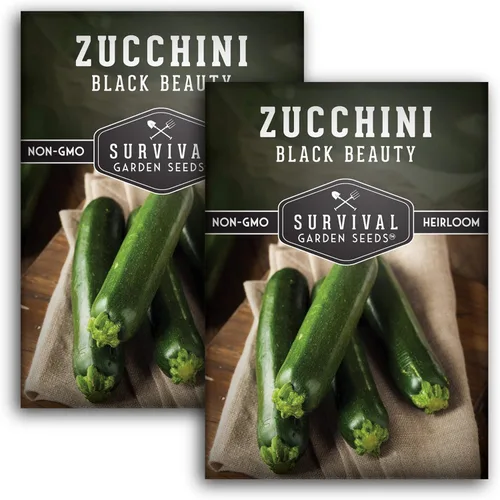 Miniatura 10 de Black Beauty - Semillas de calabacín para plantar, variedad de calabaza de verano para cultivo de huertos, calabacín verde oscuro de alto