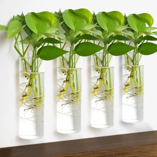 Miniatura 6 de Vumdua Paquete de 4 macetas de vidrio, transparentes, 5.9 pulgadas de alto x 1.85 pulgadas de profundidad, adecuadas para la mayoría de plantas