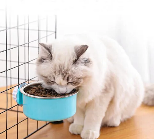Miniatura 5 de HERCOCCI 2 cuencos colgantes extraíbles de acero inoxidable para alimentos y agua para cachorros, perros pequeños, gatos, conejos y hurones