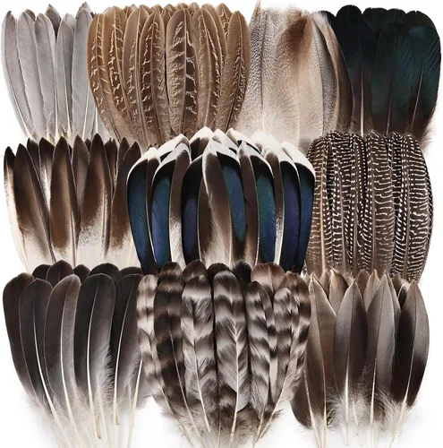 iHUFeather 120 plumas de faisán naturales a granel, 10 estilos de plumas mixtas para manualidades, manualidades, sombreros, arreglos florales, boda,