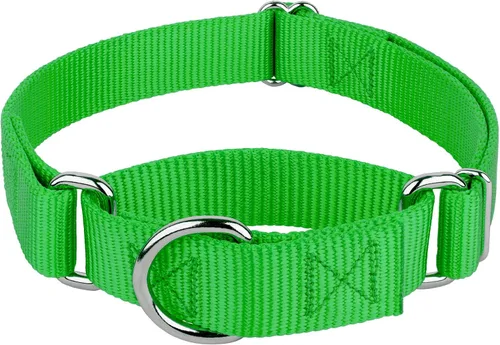 Miniatura 21 de Country Brook Petz - Collar Martingale para perro - Collar de entrenamiento resistente sin hebilla - Collar para perros de servicio para todos