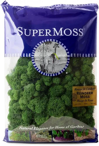 SuperMoss (21757) Musgo de Reno Conservado, Bosque, 8 onzas (200 pulgadas cúbicas)