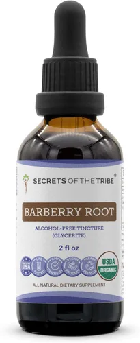 Secrets of the Tribe Barberry Root USDA Organic | Extracto sin alcohol, gotas de hierbas de alta potencia | Hecho de 100% agracejo orgánico