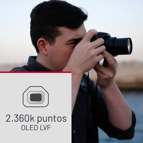 Miniatura 8 de Panasonic LUMIX FZ80D - Cámara digital para apuntar y disparar, grabación de foto/video 4K con estabilizador de imagen óptica de potencia, cámara