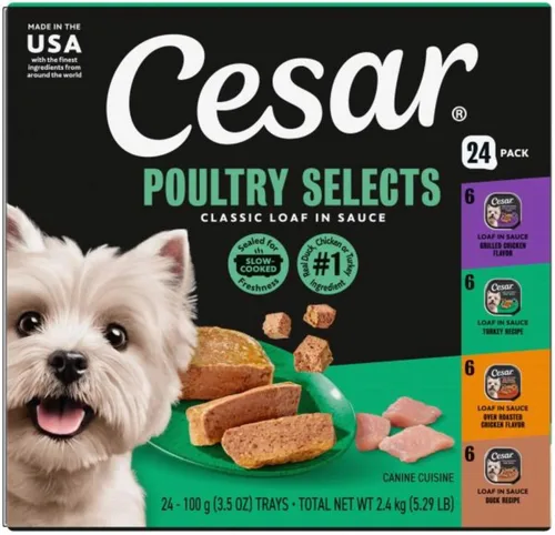 Miniatura 14 de CESAR - Comida húmeda y clásica para perros en un paquete variado de trocitos en salsa de receta de carne de res, filete miñón, pollo a la parrilla