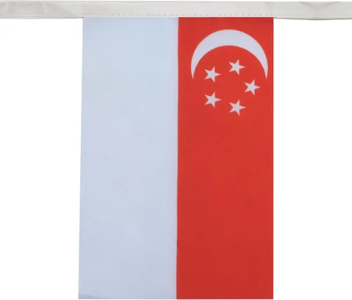 Miniatura 2 de AZ FLAG Singapur 19.7 ft BUNTING Flag 20 banderas 9'' x 6'' - Banderas de cuerda de Singapur 5.9 x 8.3 in
