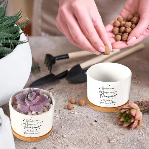Miniatura 4 de 12 macetas inspiradoras para suculentas, regalo de agradecimiento a granel para mujeres, empleadas, profesores, compañeras de trabajo, Sometimes You