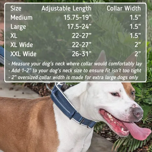 Miniatura 2 de Leash Boss Collar táctico para perro – Collar de perro con asa resistente ajustable militar K9 collar con hebilla de liberación rápida y asa
