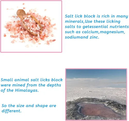 Miniatura 5 de PINVNBY Bloques de sal para conejos, 4 piezas de mascotas pequeñas del Himalaya lamen sal bloque de sal sales minerales naturales con gancho