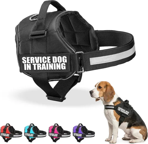 Miniatura 13 de Industrial Puppy Arnés de chaleco de entrenamiento para perro de servicio, chaleco duradero y ajustable con correas reflectantes, parches