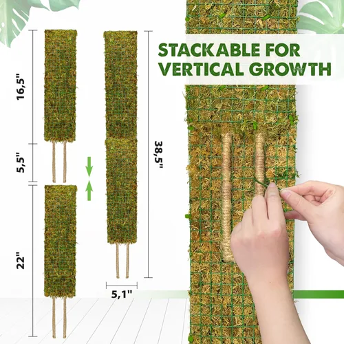 Miniatura 2 de DUSPRO Postes de musgo de malla plana para plantas trepadoras, Monstera, poste de musgo apilable para plantas con musgo real, poste para plantas