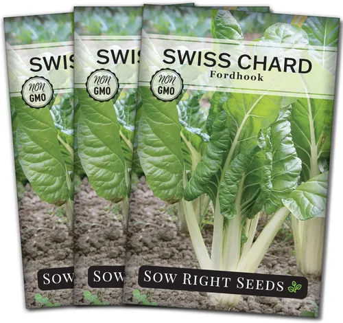 Sow Right Seeds - Semilla de acelga Fordhook para plantar - Paquete de reliquia sin OMG con instrucciones para plantar y cultivar un huerto