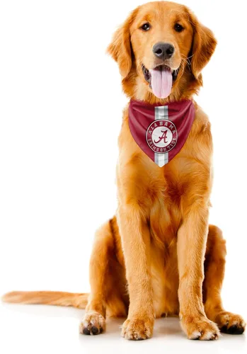 Miniatura 3 de Littlearth Bandana unisex NCAA para mascotas, reversible Color del