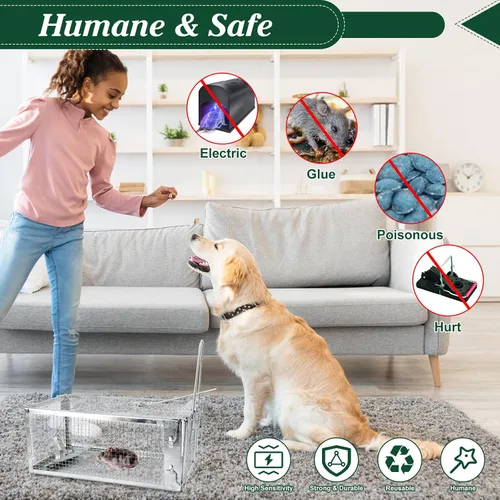 Miniatura 2 de Trampa humana para ratas, 10.75 x 5.43 x 4.41 pulgadas, trampas de metal para ratones y otros animales vivos pequeños, fácil de atrapar y liberar