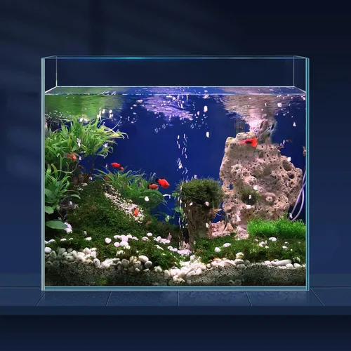 LAQUAL Tanque de peces de vidrio ultra transparente de 6.5 galones, acuario sin borde de vidrio bajo en hierro para