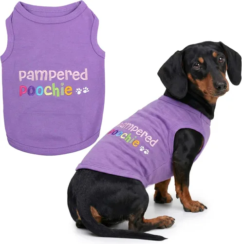Miniatura 27 de Parisian Pet - Camiseta bordada para perros y gatos, con texto en inglés Sexy and I Know It, XS Sexy y lo sé
