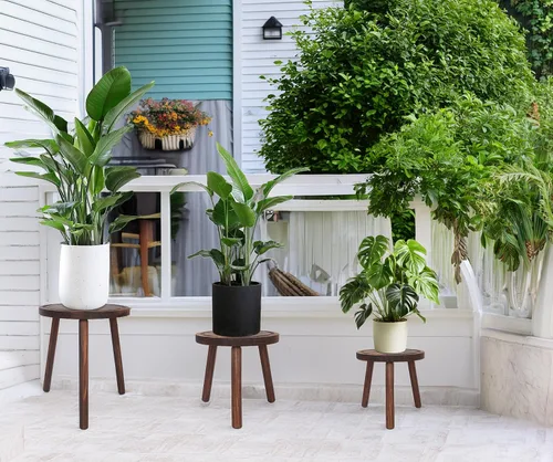 Miniatura 8 de Amdermi Paquete de 3 soportes de madera para plantas de interior, soporte para plantas individuales para macetas de 6 a 12 pulgadas, taburete Marrón