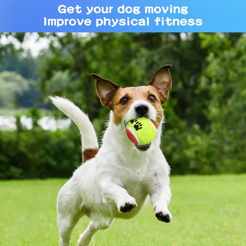 Miniatura 6 de Yunsailing 30 pelotas de tenis para perros, pelotas de tenis para mascotas, pelotas de entrenamiento para perros pequeños, medianos y grandes