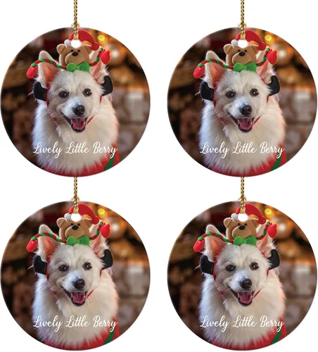 Miniatura 8 de Adornos de Navidad personalizados con foto 2025, nombre personalizado para perro y gato, adornos para árbol de Navidad, cachorros, perros, gatos