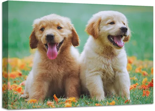 Anjiefo Impresiones en lienzo personalizadas con tu foto, lienzo personalizado para pared, imprime tus fotos en lienzo, regalos para familiares,