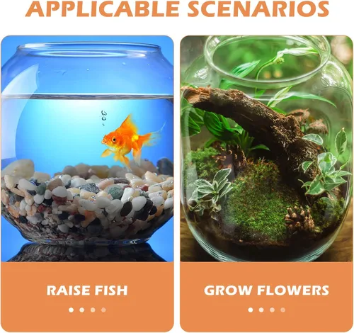 Miniatura 5 de POPETPOP - Cuenco de plástico pequeño para pecera, para escritorio, acuario, cuenco redondo transparente para plantas, hogar, oficina, jardín