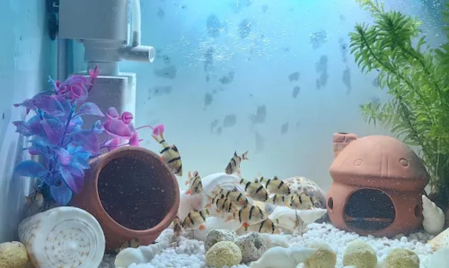 Miniatura 6 de WishLotus Decoración para cuevas de acuario, escondite de peces de acuario duradero, adorno de cerámica para pecera, casa de hongos, túnel oculto