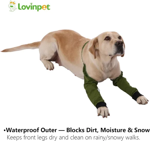 Miniatura 5 de LovinPet Mangas delanteras para perros medianos y grandes, protector impermeable para codos y rodillas, recuperación antilamientos, soporte