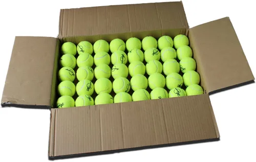 Magicorange Pelotas de tenis, paquete de 120 pelotas de tenis de entrenamiento avanzado, pelotas de práctica, pelotas de juego para perros y