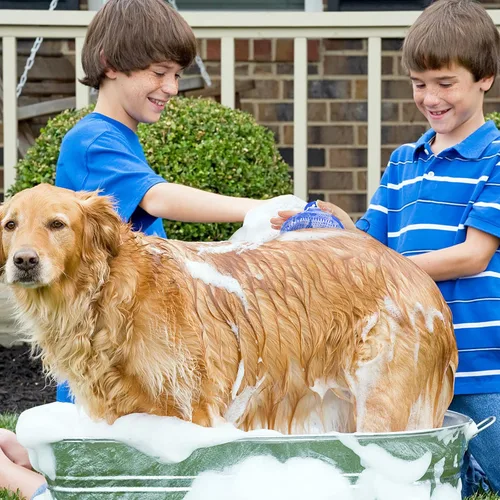 Miniatura 5 de Cepillo para aseo de perro, cepillo de baño con champú para mascotas Lilpep, peine de goma para masaje relajante con mango de anillo ajustable