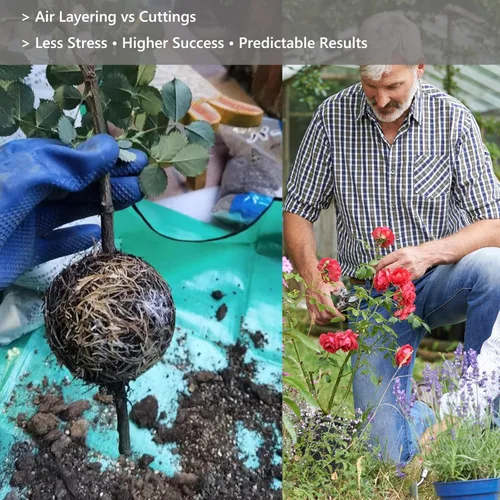 Miniatura 6 de Caja de cultivo de raíces de árbol: cápsulas de propagación de capas de aire para plantas leñosas, dispositivo de enraizamiento transparente