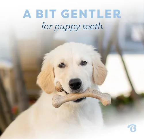 Miniatura 2 de Benebone Juguete para masticar de hueso en forma de espoleta para perros cachorros, sabor a tocino real, fabricado en Estados Unidos, mediano