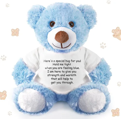 Lenwen Un regalo de abrazo de oso para mujeres, pésame pronto, condolencias para mujeres, peluche de animal de peluche, abrazo pensando en ti, Azul