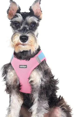 Miniatura 146 de rabbitgoo Arnés para perro pequeño, chaleco de malla suave para cachorros con hebilla de seguridad, arnés reflectante transpirable para mascotas