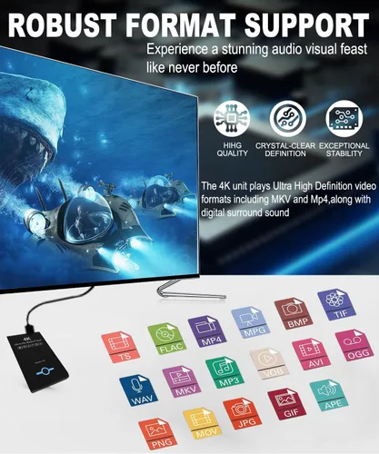 Miniatura 2 de Reproductor Multimedia Ultra HD 4K 2 en 1 Carcasa HDD para Unidades USB y Tarjetas MicrosD - Reproduce Cartelería Digital, Vídeos H.265/HEVC